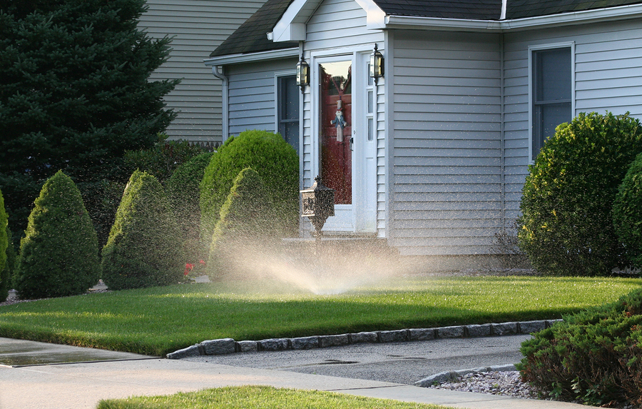 Lawn Sprinkler